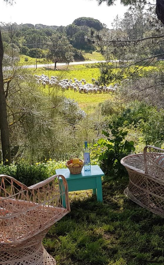 דירות קארבואירו Morphee Valdareina, Piscine Chauffee, Benagil-Carvoeiro מראה חיצוני תמונה