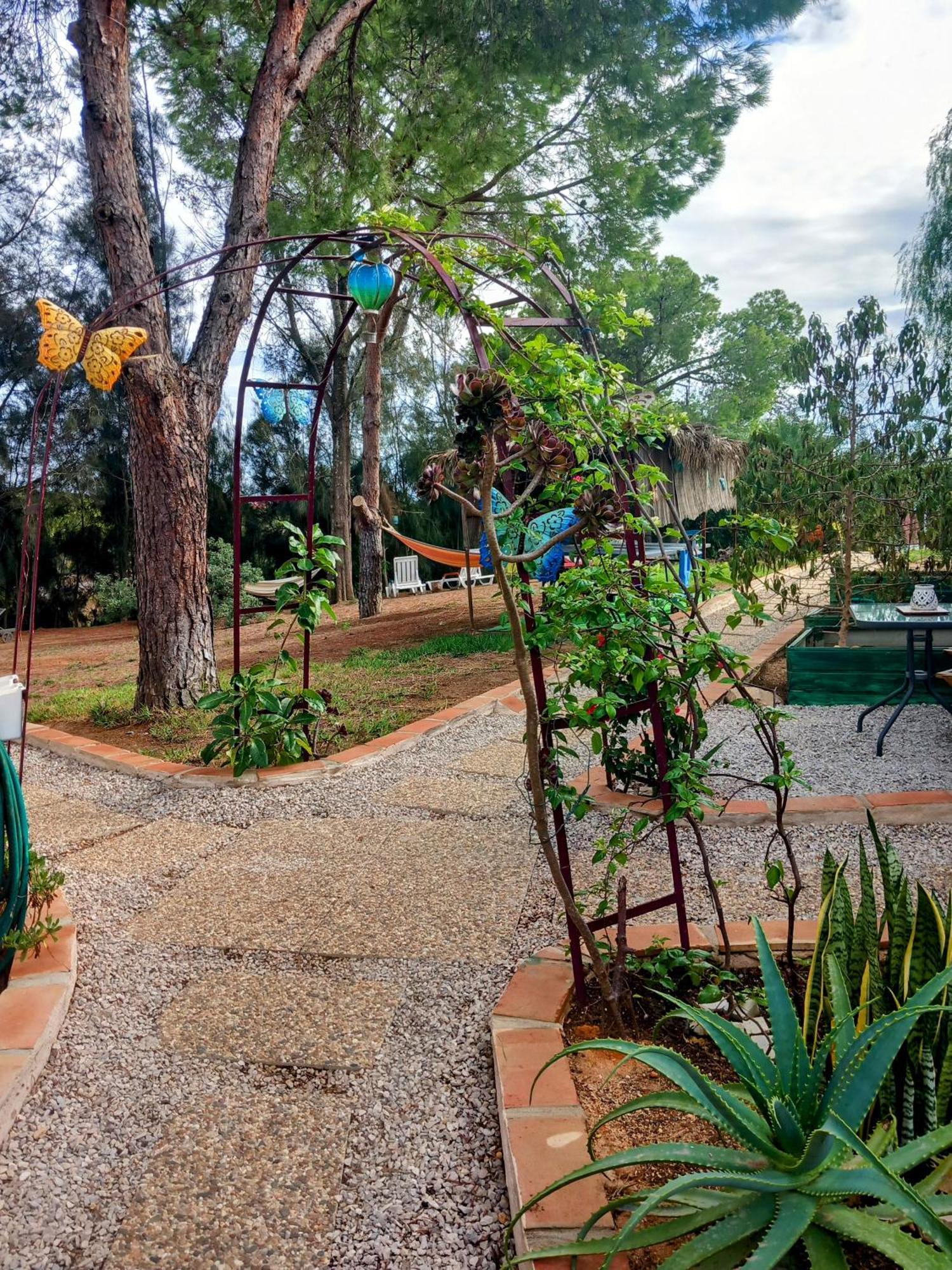 דירות קארבואירו Morphee Valdareina, Piscine Chauffee, Benagil-Carvoeiro מראה חיצוני תמונה